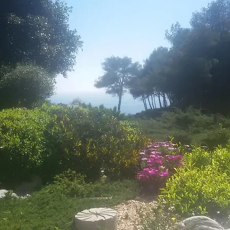 Amadeus Xabia Balcon del Mar