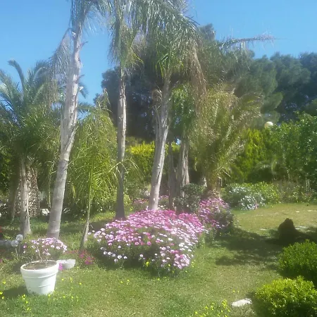Amadeus Xabia * Balcón del Mar