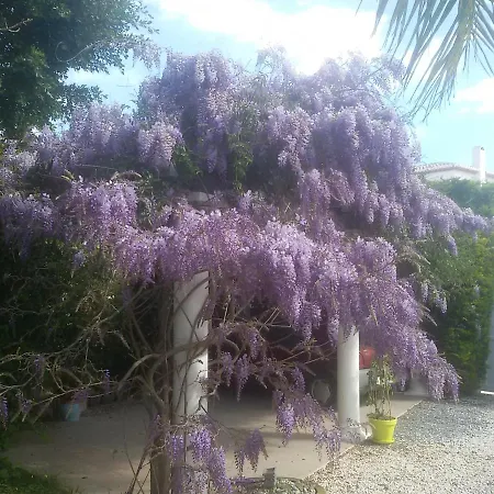 Amadeus Xabia Villa *