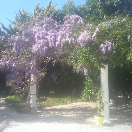 Villa Amadeus Xabia
