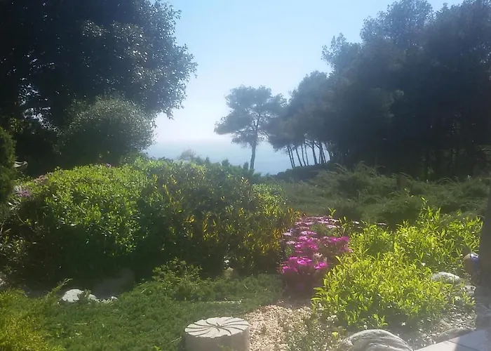 Amadeus Xabia Balcon del Mar