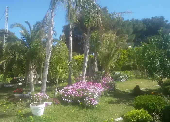 Amadeus Xabia * Balcon del Mar
